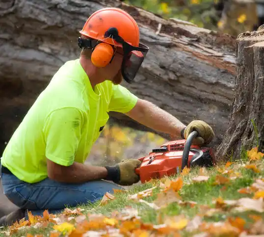 tree services Pevely